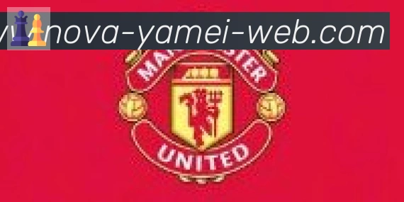 亚美体育官网合作伙伴